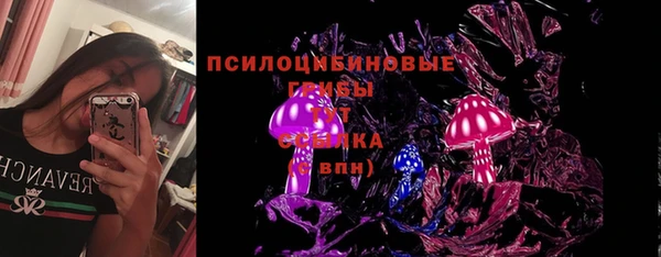 хмурый Абаза