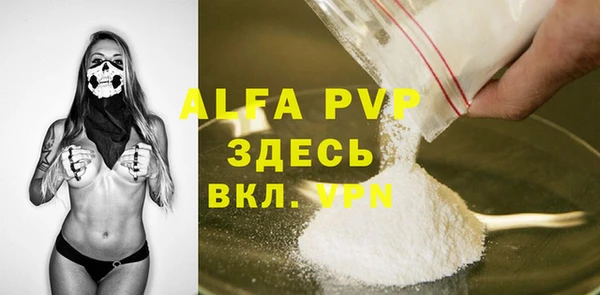 хмурый Абаза