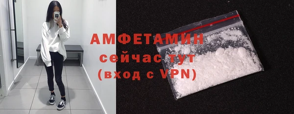 хмурый Абаза