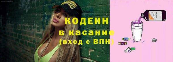 хмурый Абаза