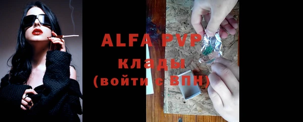 хмурый Абаза