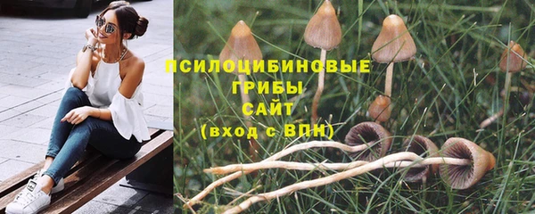 эйфоретик Абдулино