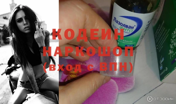 хмурый Абаза